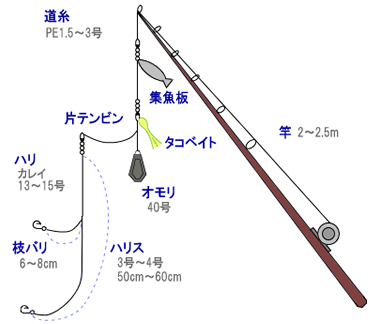 アイナメ