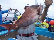 ６月２８日　花ダイ　午前船　釣果