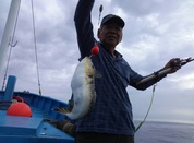 ８月１５日　フグ釣り　午前船　釣果