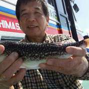 １０月１３日　河豚船　釣果