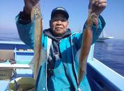 ３月３日　ヤリイカ船　釣果