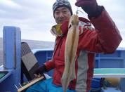 ３月２６日　ヤリイカ船　釣果