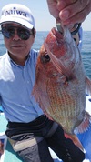 ５月８日　午前テンヤ・釣果　活きエビ♡