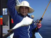 ６月１８日　ショウサイフグ船　釣果