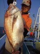 ６月１８日　午後マゴチ船　釣果　真鯛！７キロ浮上！