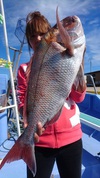 １０月１６日　テンヤ真鯛船　釣果