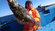 １２月１０日　ヒラメ船　釣果