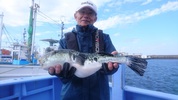 １月3日　ショウサイフグ船　釣果