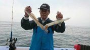 ５月1日　ヤリイカ船　釣果　絶好調！！