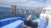 ５月4日　ヤリイカ船　釣果