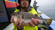 6月25日　ショウサイフグ船　釣果