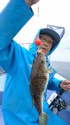 7月６日　ショウサイフグ船　釣果