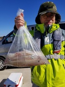 １月27日　ヤリイカ船　釣果