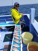 ４月1日　活きエビ　テンヤ真鯛船　釣果