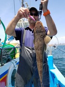 7月1日　マゴチ船　釣果