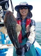 7月1日　マゴチ船　釣果