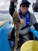 7月8日　マゴチ船　釣果