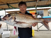 8月12日　テンヤ真鯛船　釣果