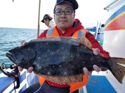 11月3日　ヒラメ船　釣果