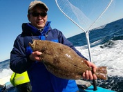 11月23日　ヒラメ船　釣果