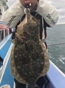 １２月8日　ヒラメ船　釣果