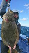 １月１４日　ヤリイカ船・ヒラメ船　釣果