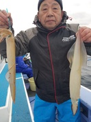 2月15日　ヤリイカ船　釣果