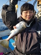 2月１７日　ショウサイフグ船　釣果