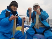 3月3日　ヤリイカ船　釣果　浅場で順調！！