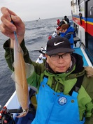 3月６日　ヤリイカ船　釣果