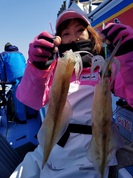 ４月２日　ヤリイカ船　釣果