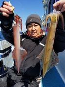 ４月２日　ヤリイカ船　釣果